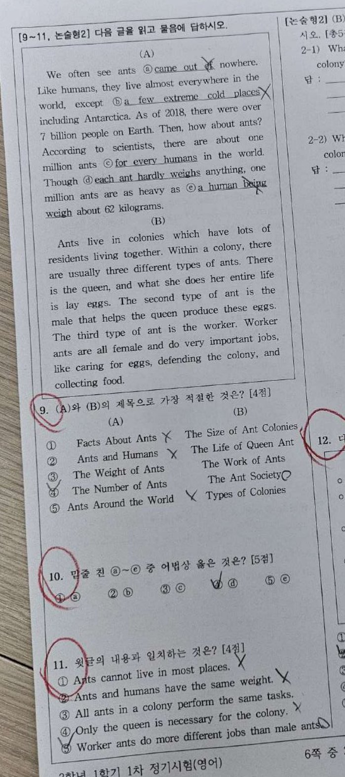 11번 문항