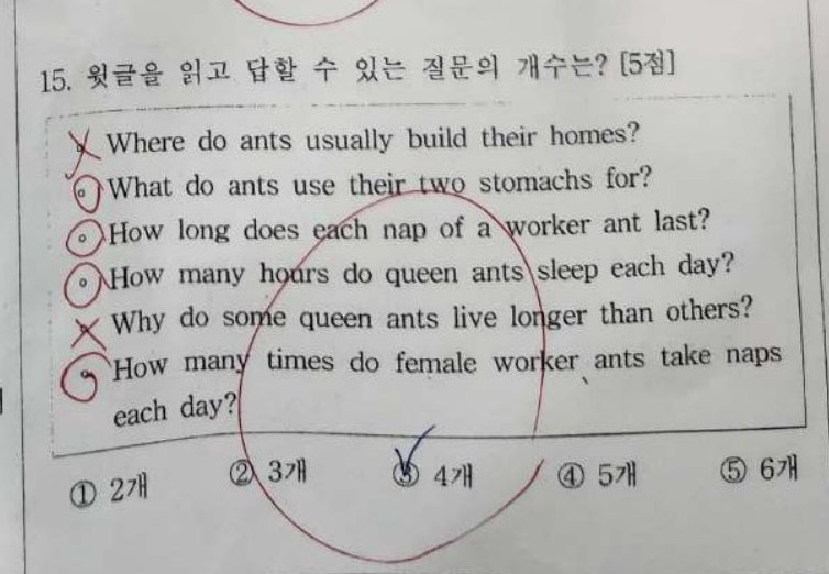 15번 문항