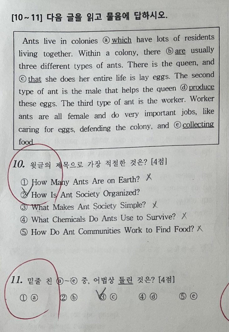 11번 문항