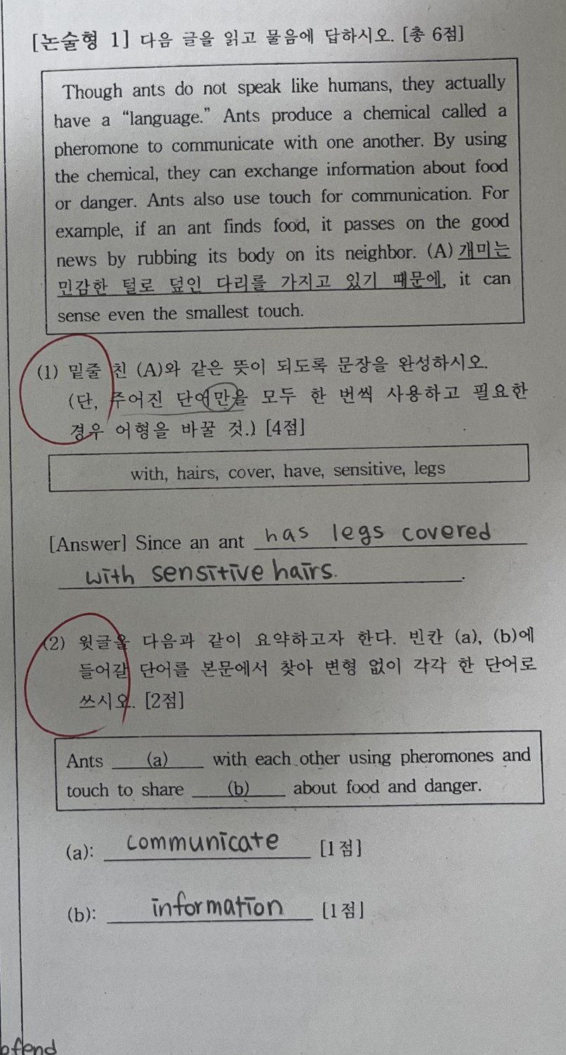 논술형 1번 문항