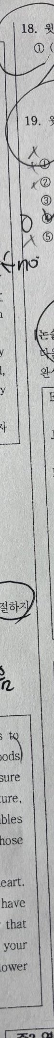 18번 문항